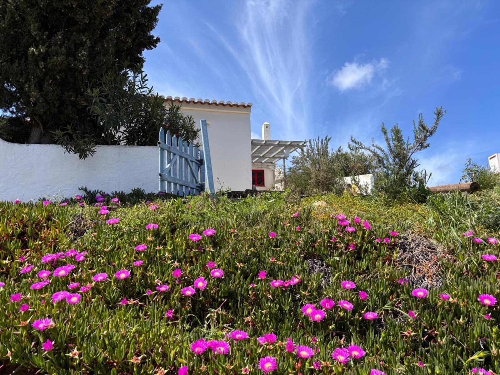 Villa Casa Pedralva Vila do Bispo Exterior foto
